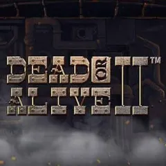 Dead or Alive 2 - Munkki Casino
